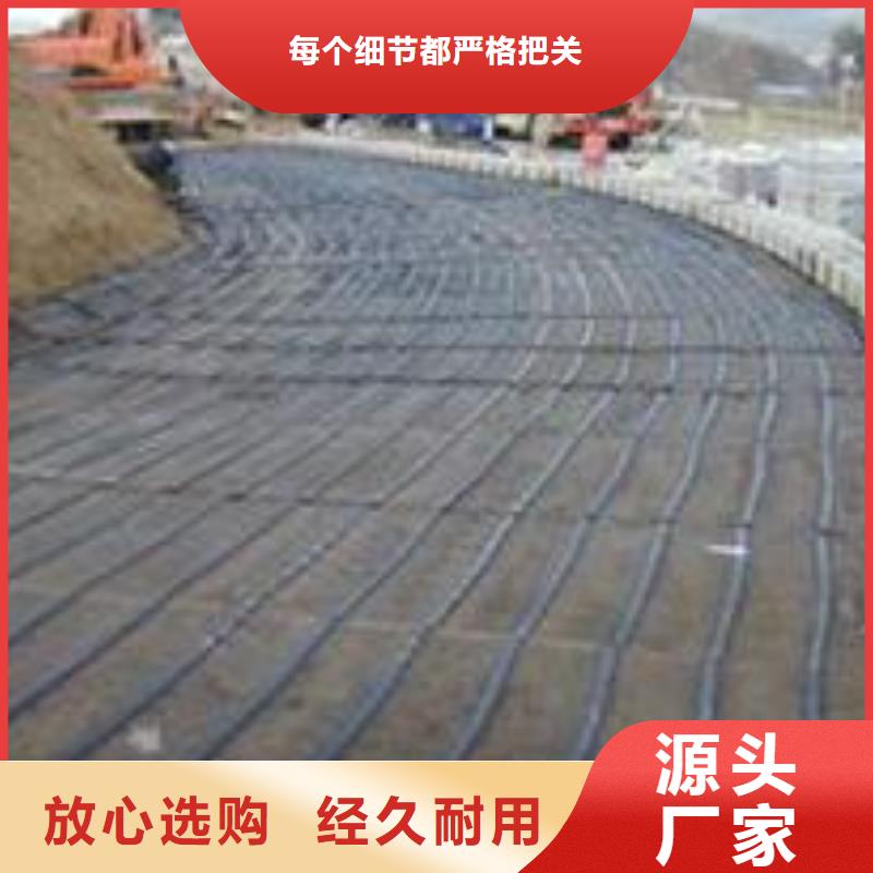 单向塑料土工格栅毛细排水板厂家