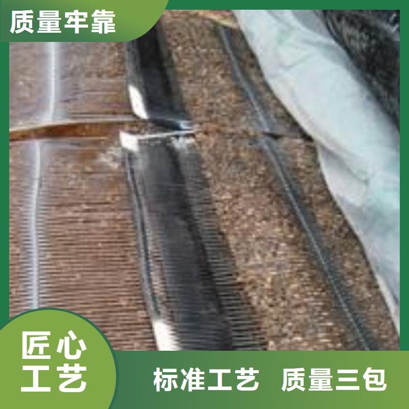 单向塑料土工格栅-复合土工膜精心打造