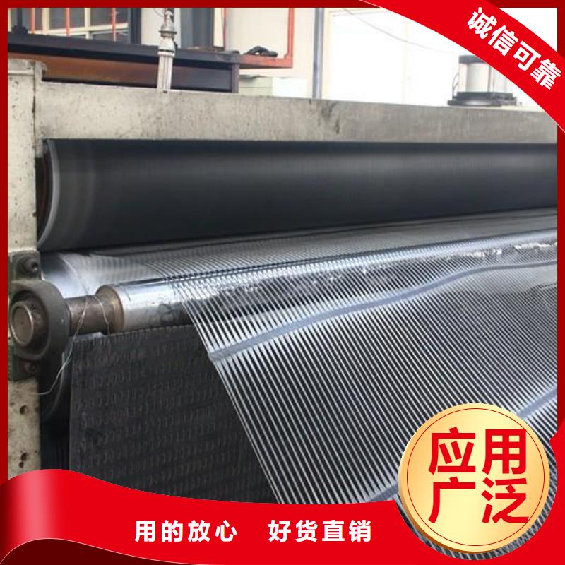 单向塑料土工格栅毛细排水板厂家