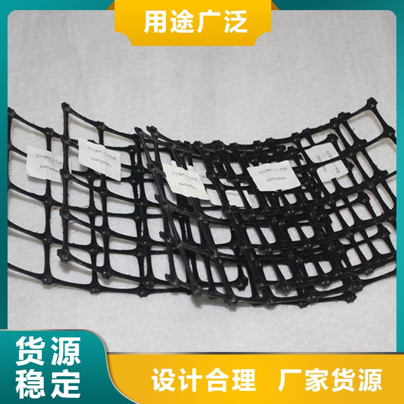 双向塑料土工格栅HDPE土工膜您身边的厂家