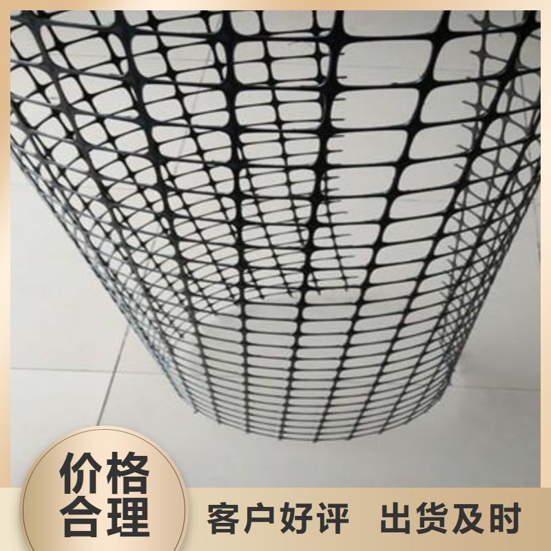 双向塑料土工格栅HDPE土工膜您身边的厂家