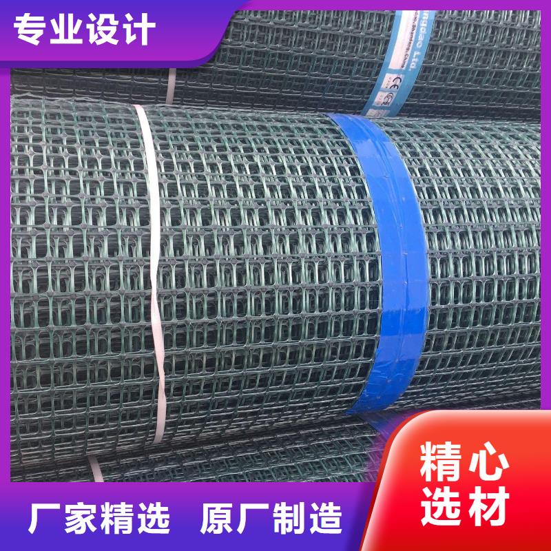 双向塑料土工格栅HDPE土工膜您身边的厂家