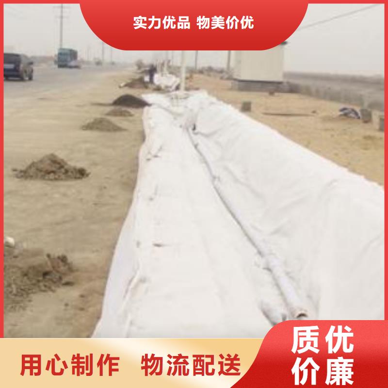 复合土工膜塑料盲沟实体厂家支持定制
