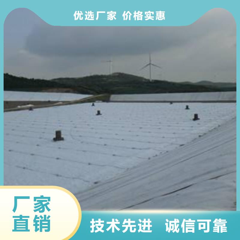 复合土工膜_【单向塑料土工格栅】实力公司