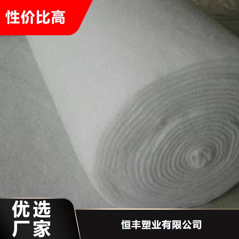 复合土工膜塑料盲沟实体厂家支持定制