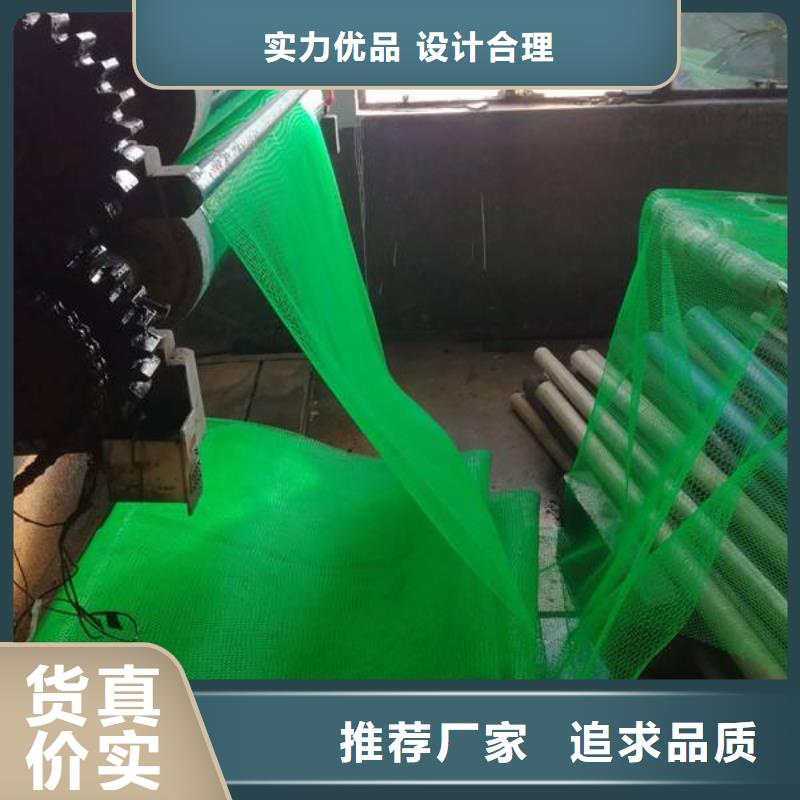 三维植被网塑料盲沟专注产品质量与服务