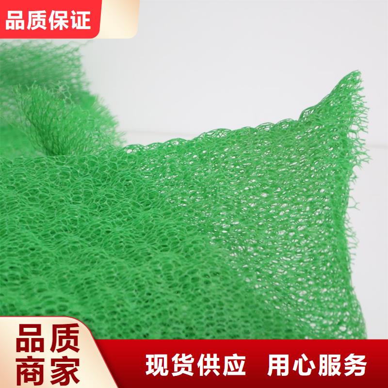 三维植被网毛细排水板符合行业标准