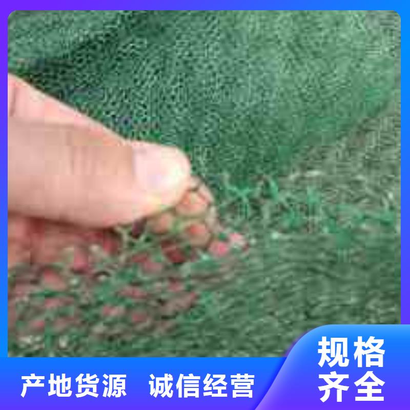三维植被网短丝土工布产品细节