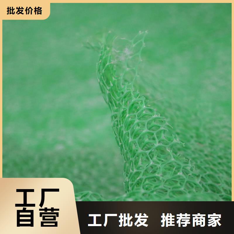 三维植被网土工格室免费获取报价