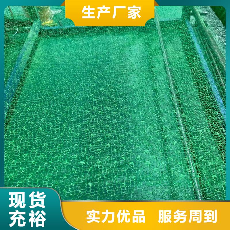 三维植被网【加筋布】专业生产N年