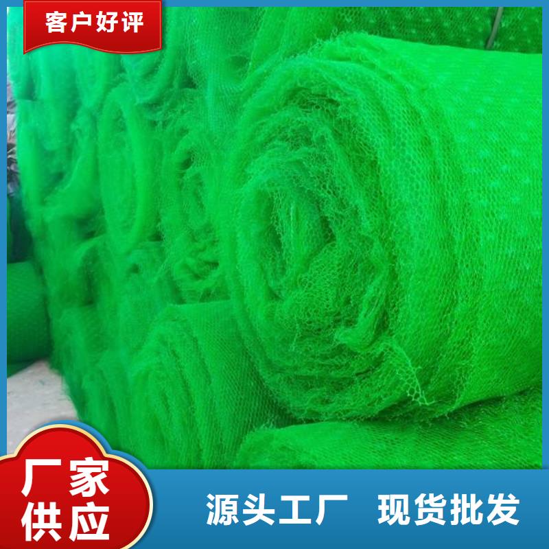 三维植被网毛细排水板符合行业标准