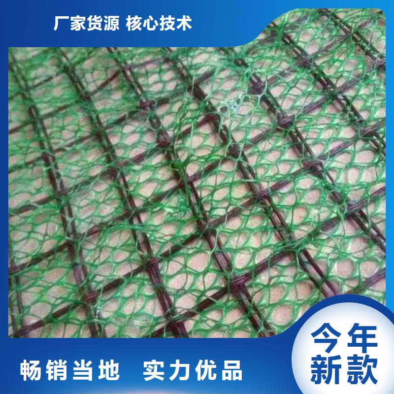 三维植被网【加筋布】专业生产N年