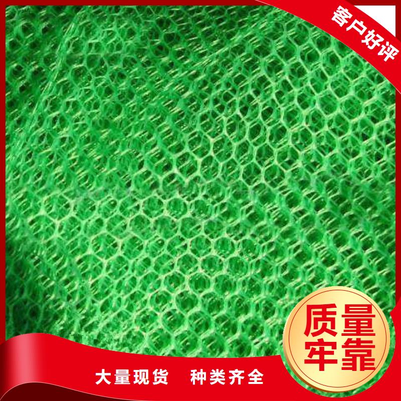 三维植被网HDPE黑色土工膜精致工艺