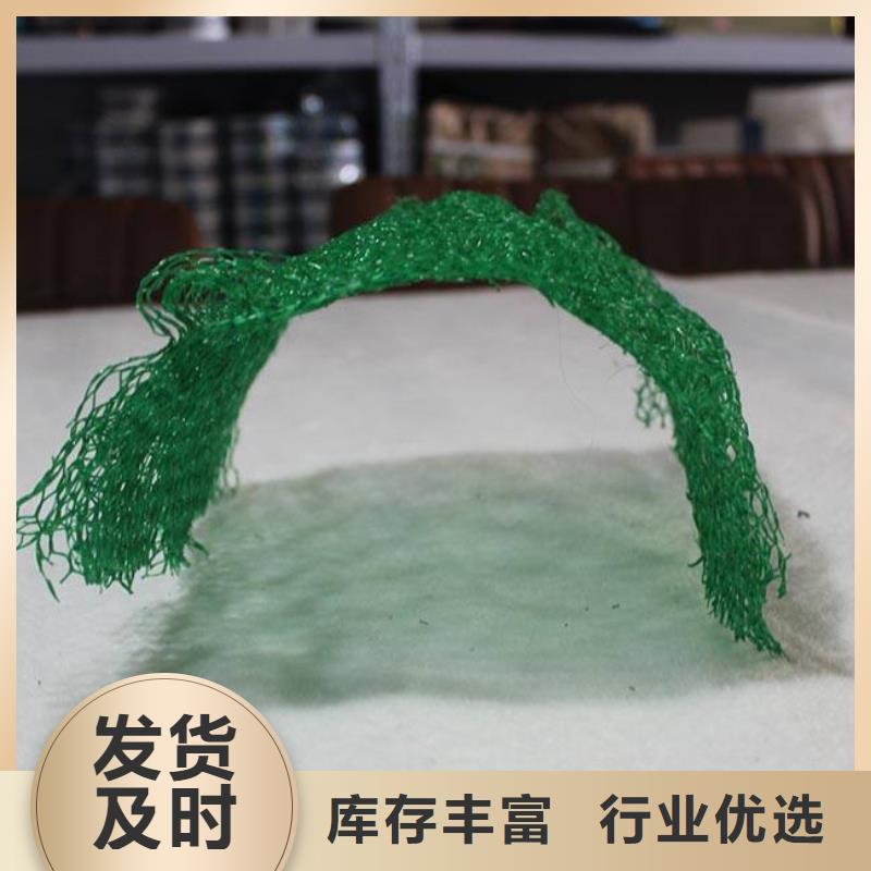 三维植被网玻纤土工格栅来图定制量大从优