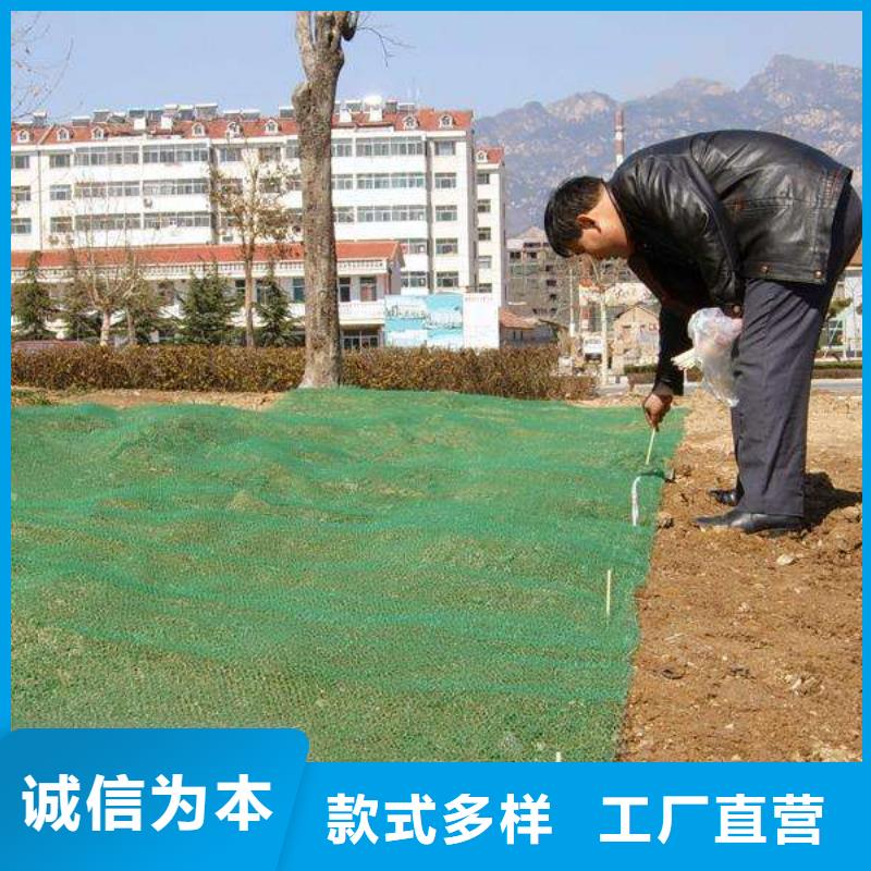 【三维植被网_无纺布真实拍摄品质可靠】