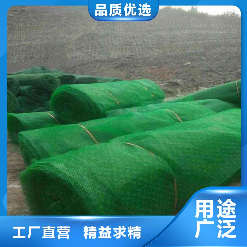 三维植被网HDPE黑色土工膜精致工艺