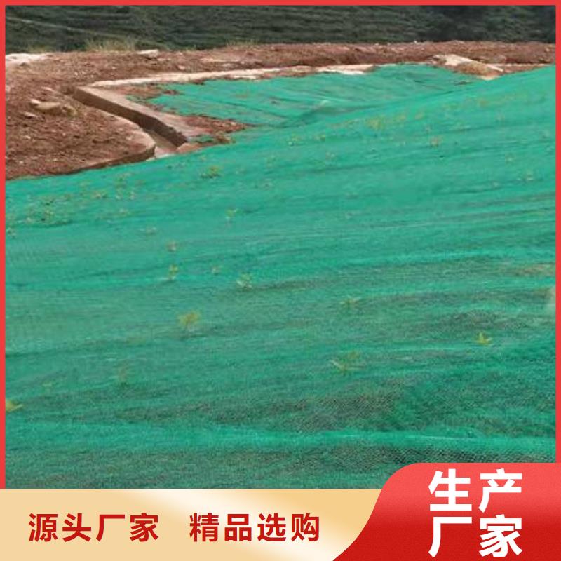 三维植被网,塑料土工滤网信誉有保证