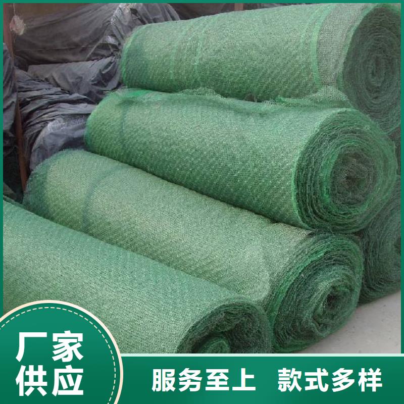 三维植被网土工格室免费获取报价