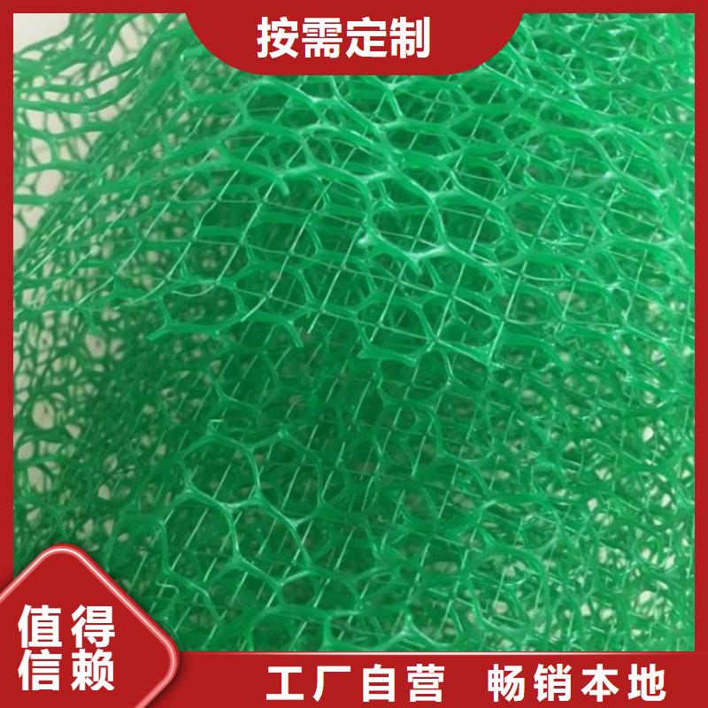 【三维植被网_无纺布真实拍摄品质可靠】
