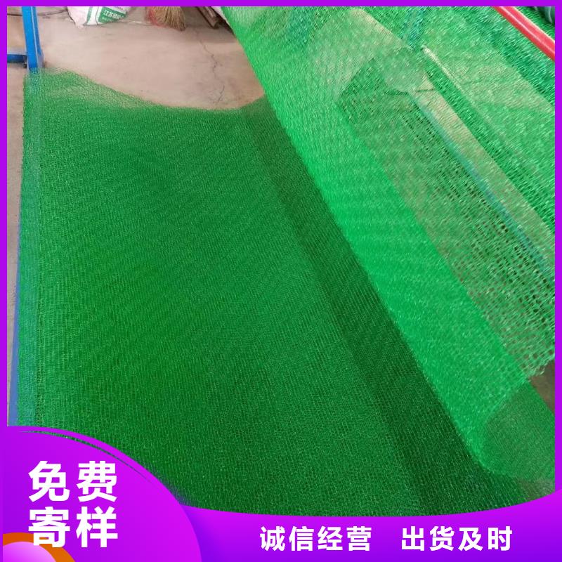 三维植被网防渗土工膜来图加工定制