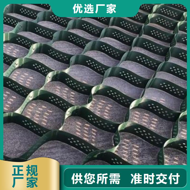 土工格室土工席垫厂家直销省心省钱