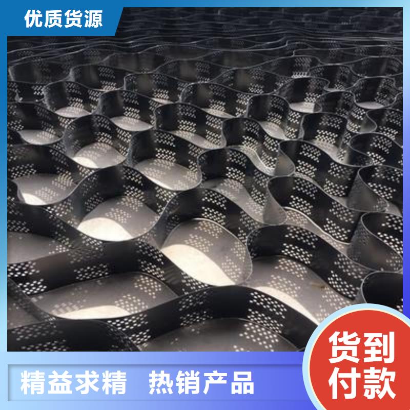 【土工格室】,hdpe复合膜款式多样
