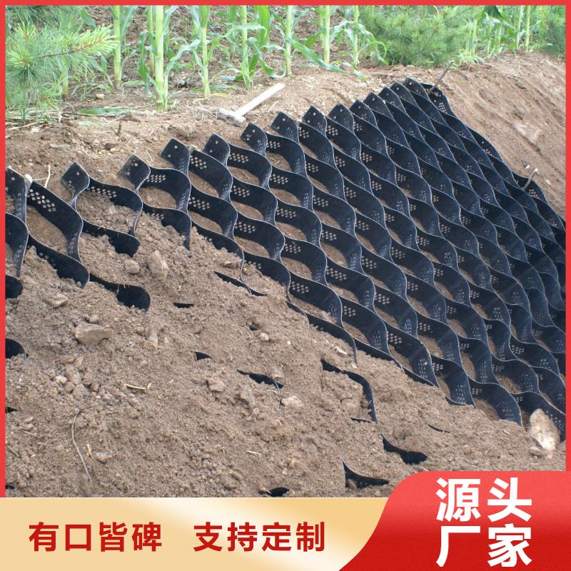 土工格室PP焊接土工格栅实力公司
