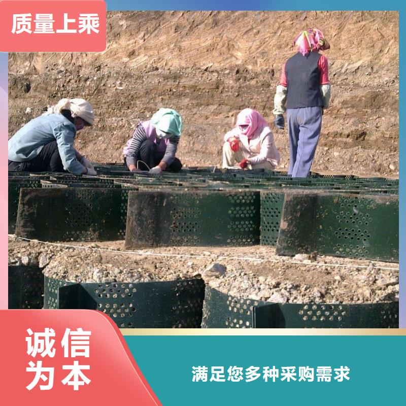 土工格室土工布工期短发货快