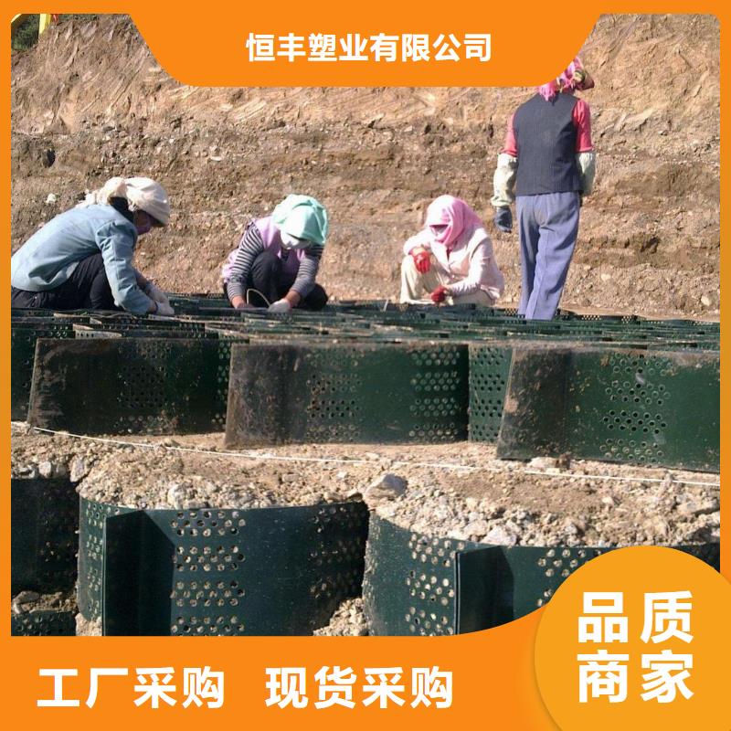 土工格室PP焊接土工格栅实力公司