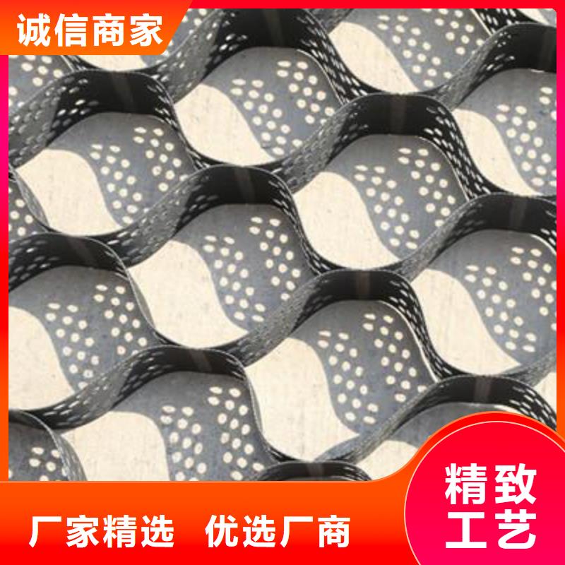 土工格室土工席垫厂家直销省心省钱