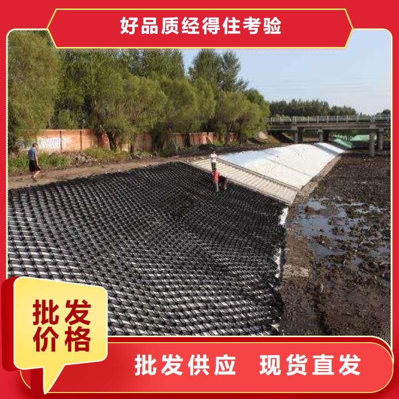 土工格室PP焊接土工格栅实力公司