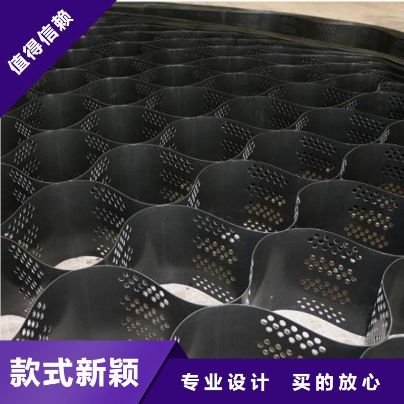 土工格室PP焊接土工格栅实力公司