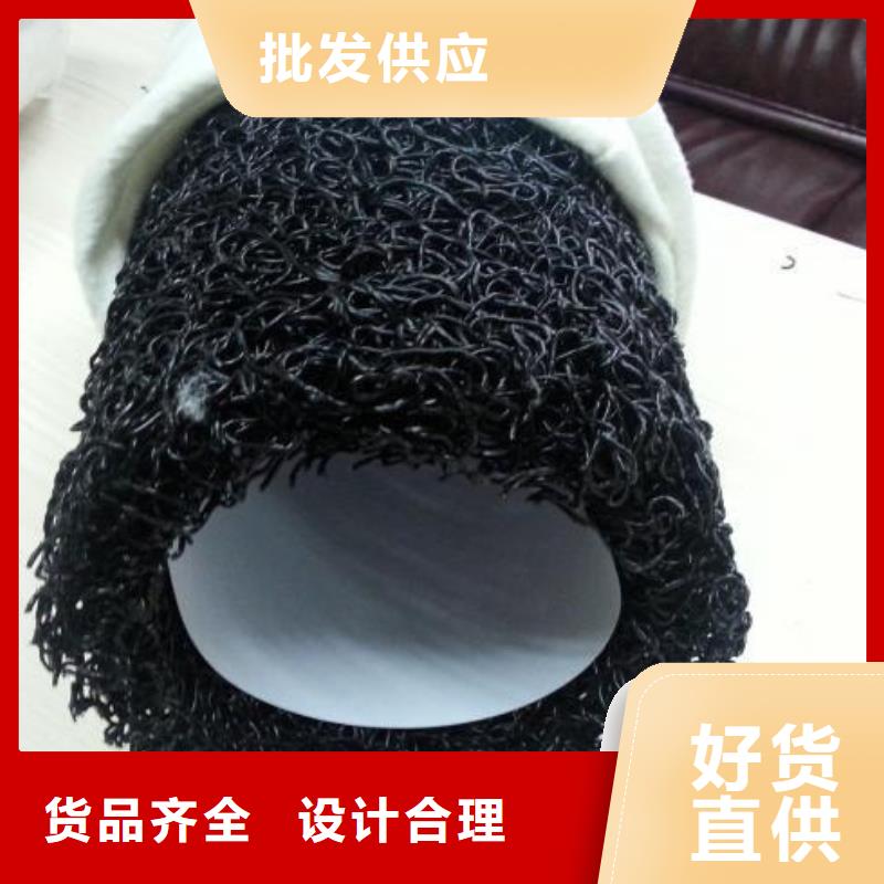 【塑料盲沟_三维复合排水网厂家现货供应】