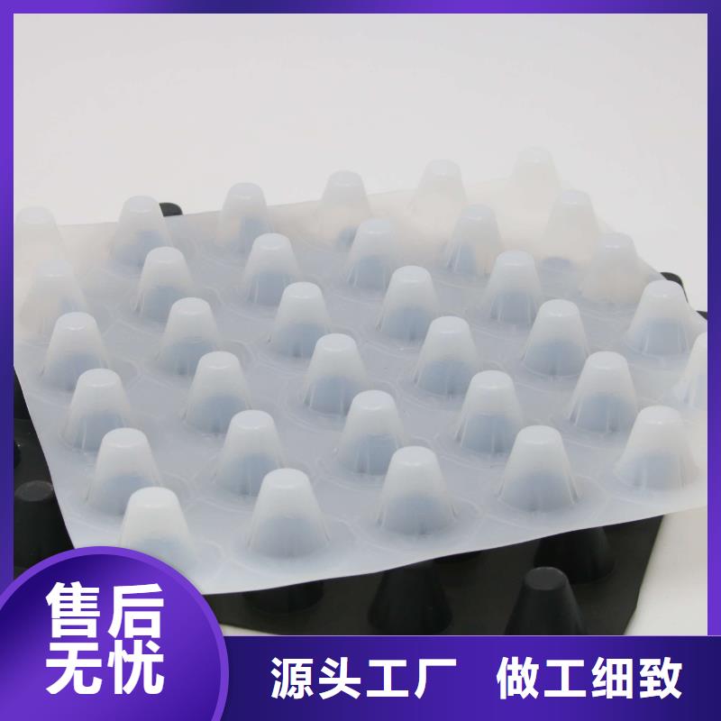 排水板-双向拉伸塑料格栅经久耐用