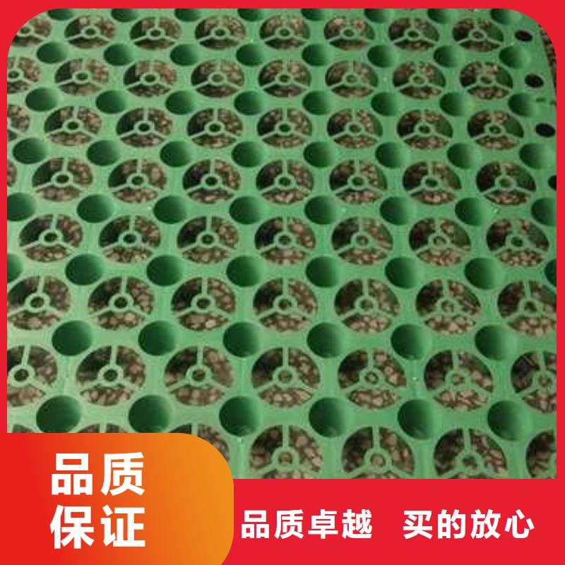 【排水板】TPO防水卷材厂家直销直供