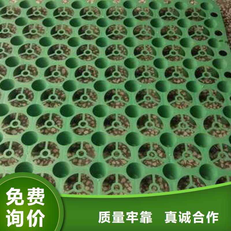 【排水板-长丝土工布售后服务完善】