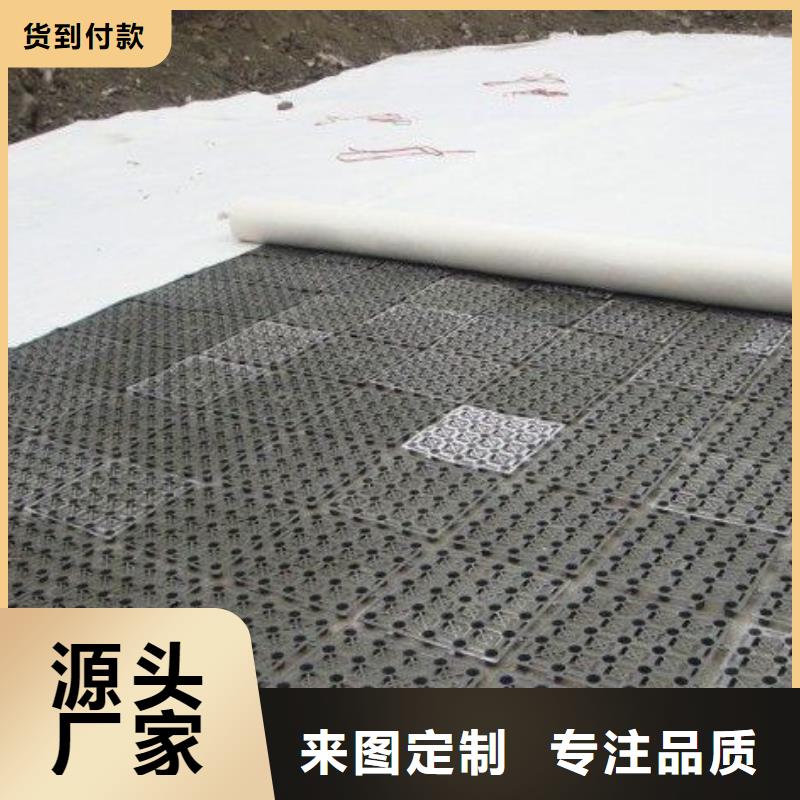 排水板土工席垫性价比高