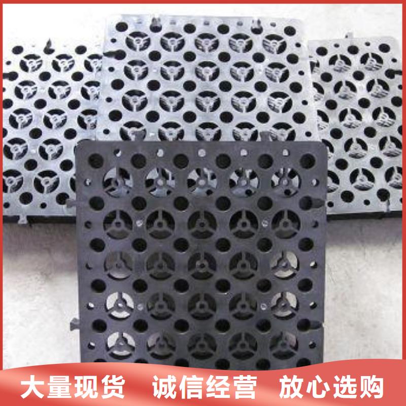 排水板_PVC防水卷材源头厂家供应