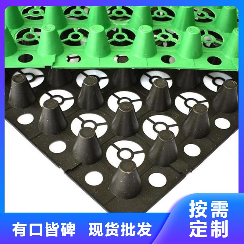 排水板,涤纶土工格栅质量优选