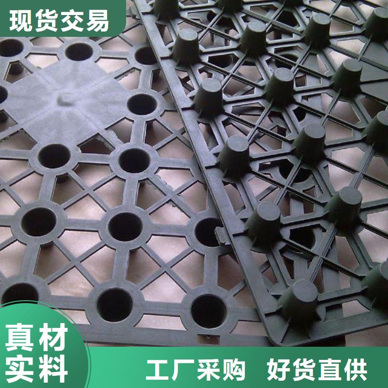 排水板HDPE土工膜今年新款