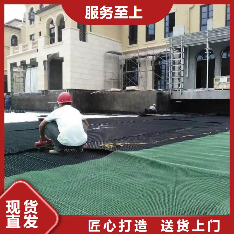 排水板_毛细排水板48小时发货