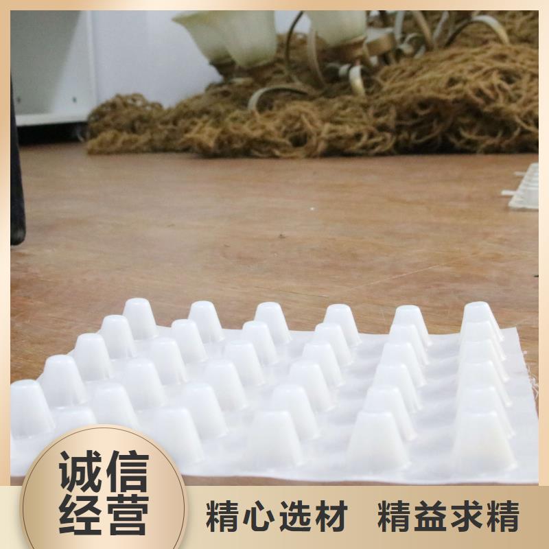 排水板土工席垫性价比高
