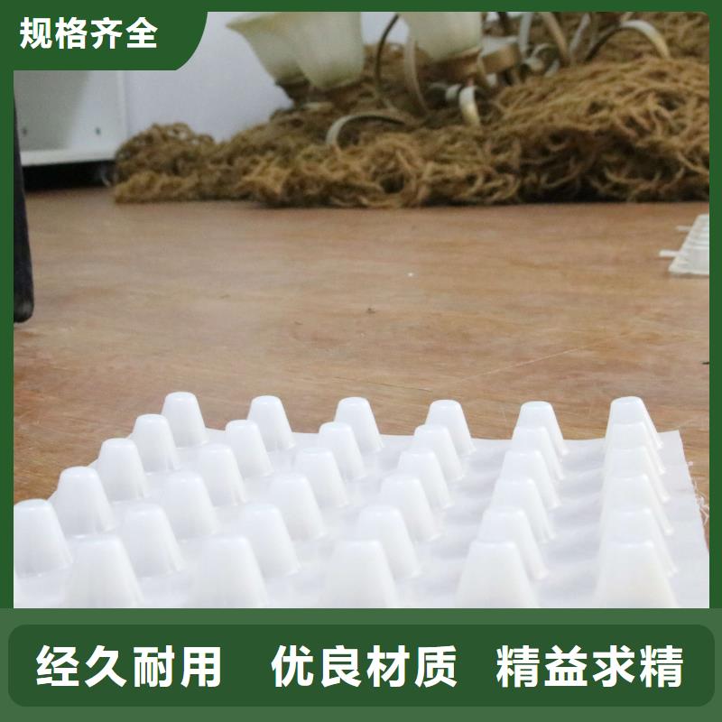 排水板_蜂巢格室多种规格供您选择