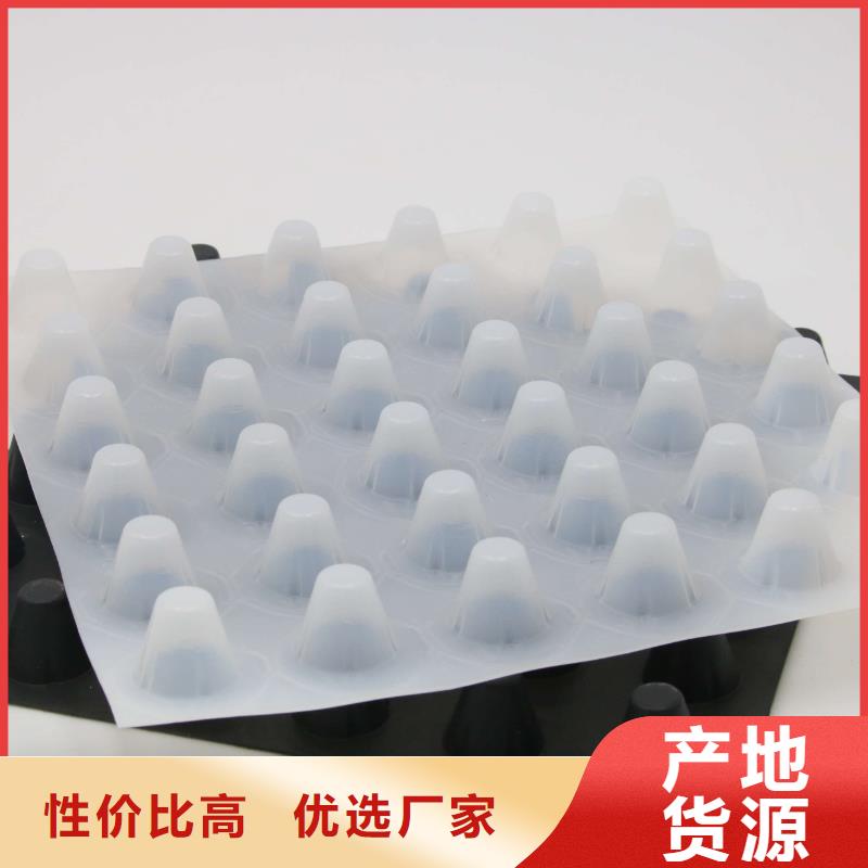 【排水板】TPO防水卷材厂家直销直供