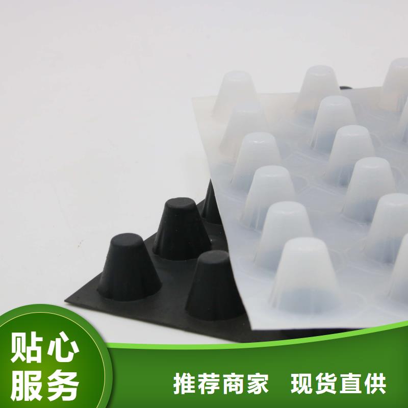 排水板-防渗土工膜欢迎新老客户垂询
