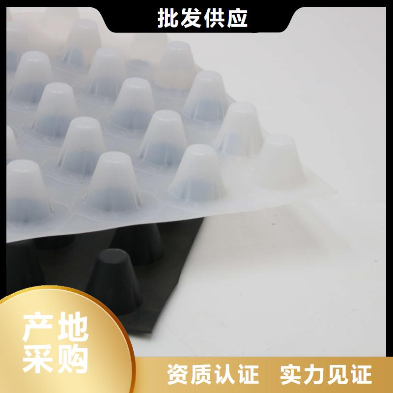 排水板_毛细排水板48小时发货