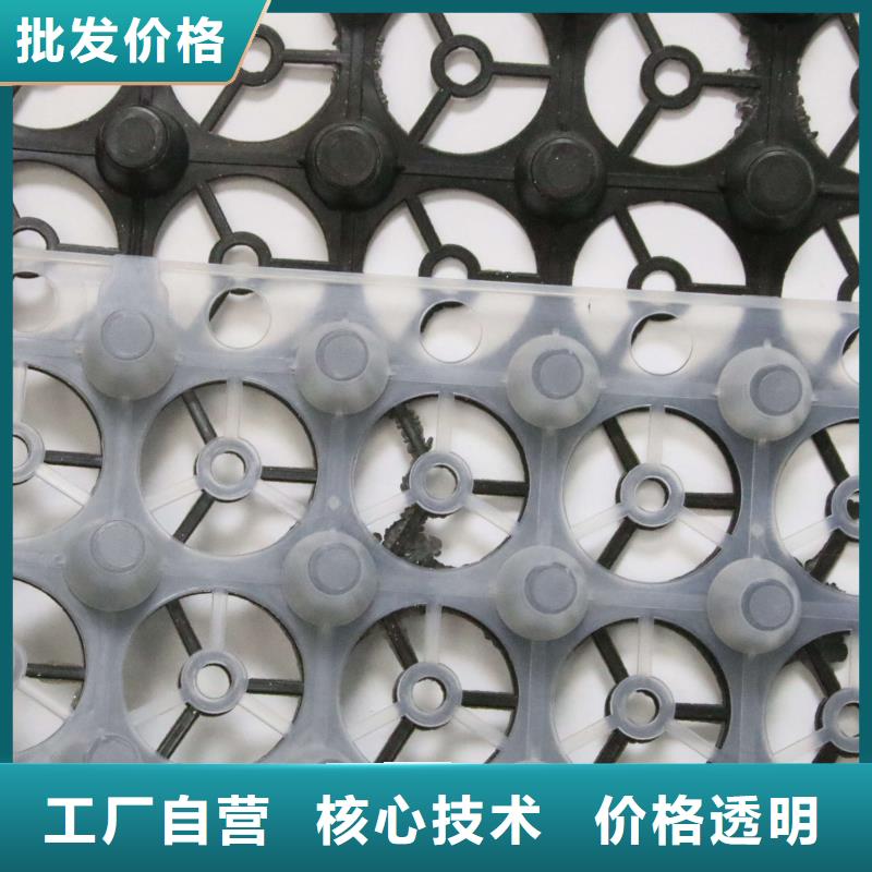 排水板HDPE土工膜今年新款