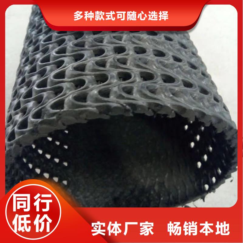 【硬式透水管】三维土工网垫畅销本地