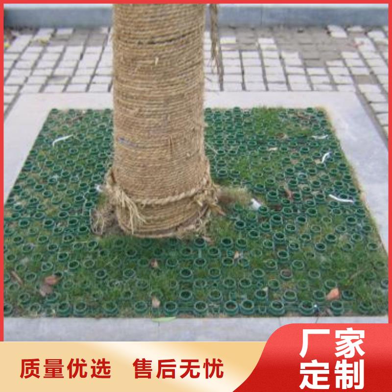 植草格-PP焊接土工格栅价格地道