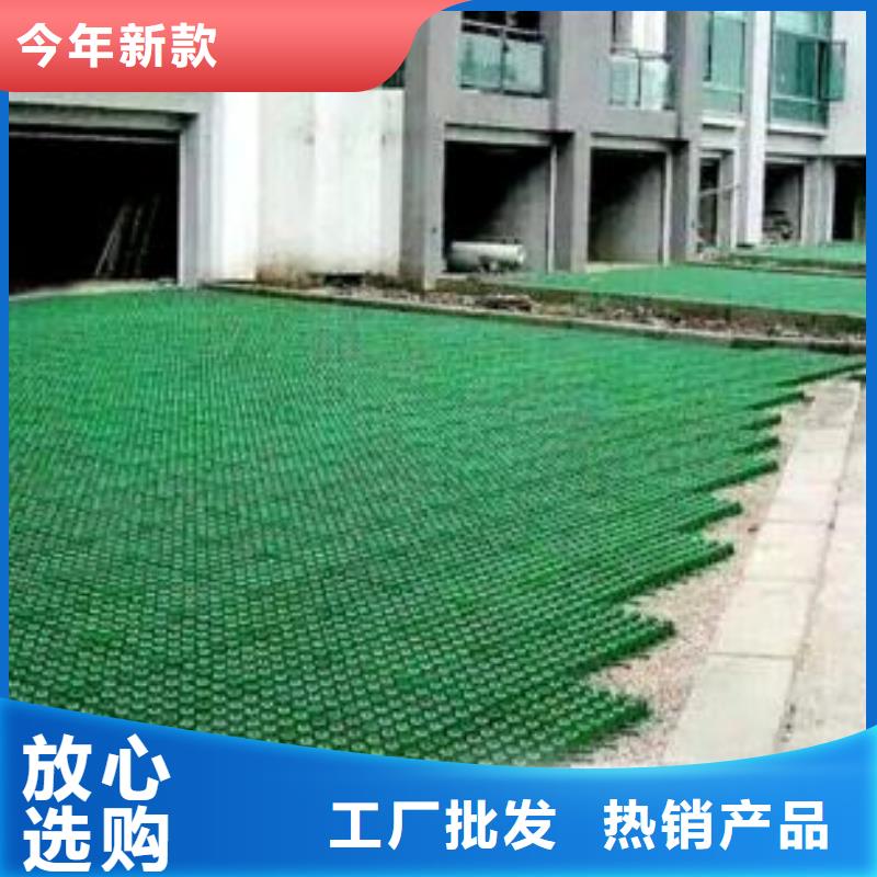 植草格-PP焊接土工格栅价格地道